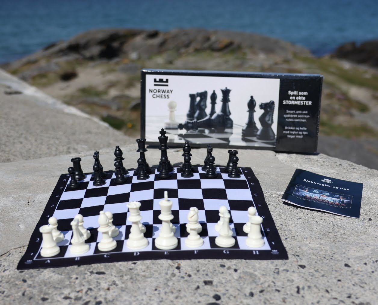 norway chess chess board